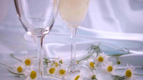 Glasses Sparkling Wine Chamomile Flowers Blue Background Slow Motion — Vídeos de Stock