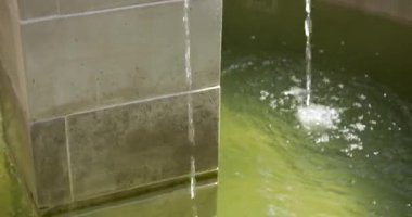 Summer fountain in the sun.