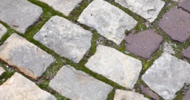 Cobblestone square in an old European city.