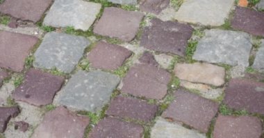 Cobblestone square in an old European city.