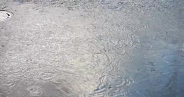 Fountain jets in the summer city. Slow motion.