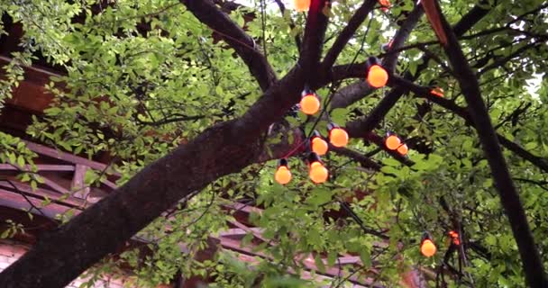 Garlands Tree Branches Shooting Summer — Stock Video