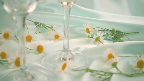 Glasses Sparkling Wine Chamomile Flowers Blue Background — Stock video