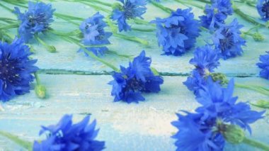 Fresh flowers of knapweeds on vintage light blue wooden tabletop.