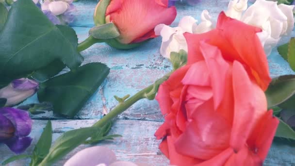 Flores Coloridas Jardim Verão Flores Dragão Rosas Ervilha Doce Fundo — Vídeo de Stock