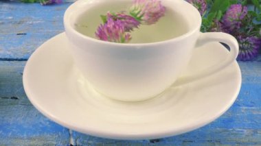 Brewing a tisanes from red clover in a white cup. Composition on vintage light blue wooden tabletop with fresh flowers of clover.