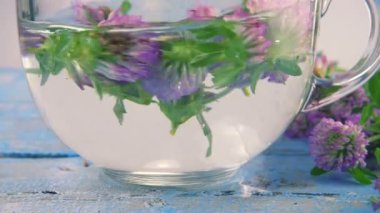 Brewing a tisanes from red clover in a transparent cup. Slow motion.