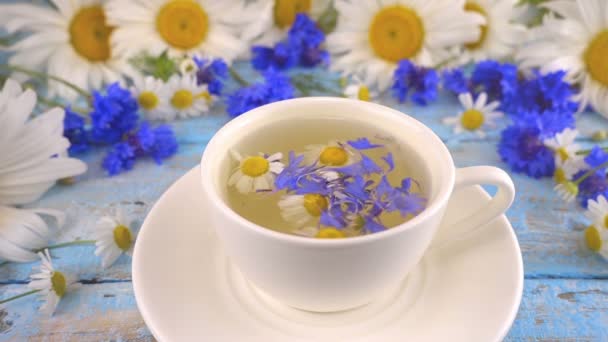 Composition Fresh Knapweeds Chamomile Flowers Herbal Tea Vintage Light Blue — Stockvideo
