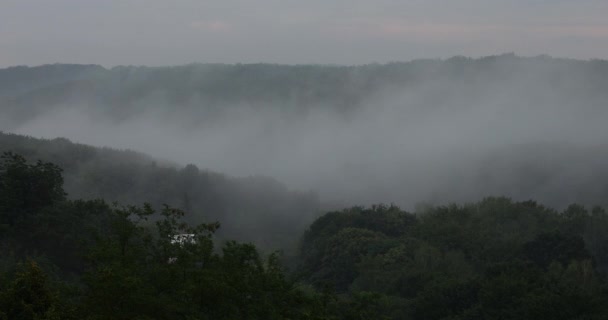 Fog Forest Mountains Time Lapse — Vídeos de Stock