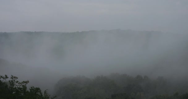 Fog Forest Mountains Time Lapse — Stockvideo