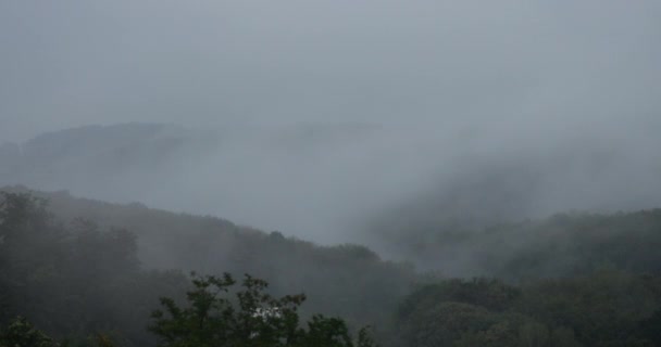 Fog Forest Mountains Time Lapse — Stok video