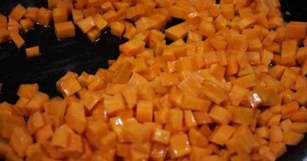 Шматочки Моркви Смажать Сковороді — стокове відео