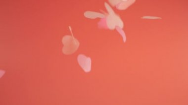 Falling confetti on a peach-pink background. Slow motion.