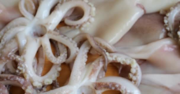 Щупальця Соснами Тулубом Сирого Кальмара Дошці Різання Свіжі Морепродукти Куховарство — стокове відео
