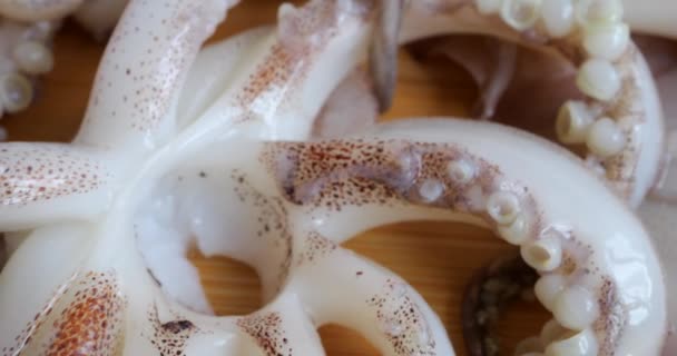 Tentacles Suction Cups Carcass Raw Squid Cutting Board Fresh Seafood — Stockvideo