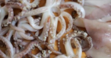 Tentacles with suction cups and carcass of raw squid on a cutting board. Fresh Seafood and Cooking.