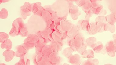 Falling confetti on a white background. Slow motion.