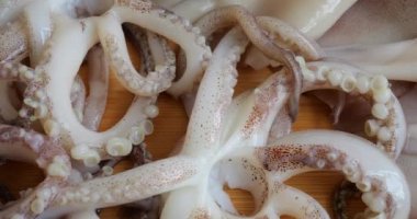 Tentacles with suction cups and carcass of raw squid on a cutting board. Fresh Seafood and Cooking.