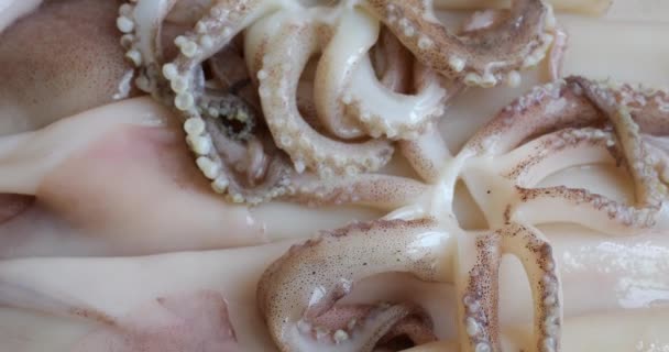 Tentacles Suction Cups Carcass Raw Squid Cutting Board Fresh Seafood — 图库视频影像