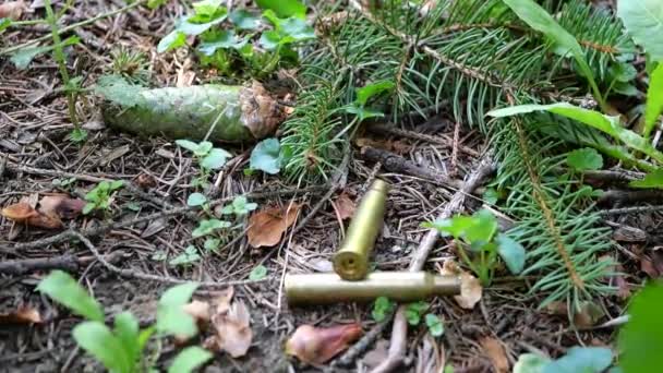 Bullet Casings Fall Ground Covered Spruce Branches Slow Motion — Stock Video