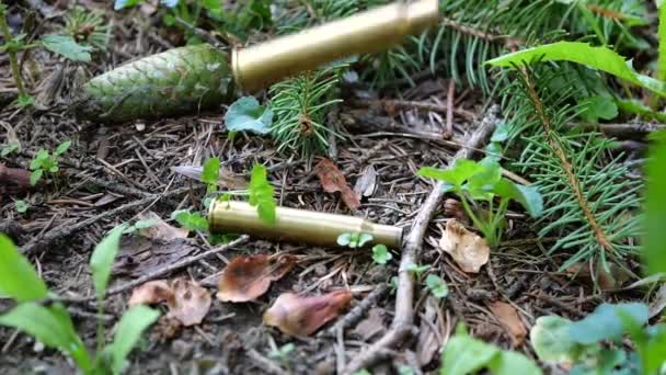 Bullet Casings Fall Ground Covered Spruce Branches Slow Motion — Vídeo de stock