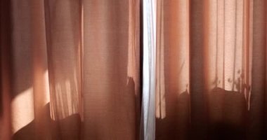 Curtains on the windows in the rays of the sun.