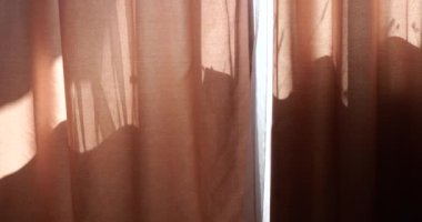 Curtains on the windows in the rays of the sun.