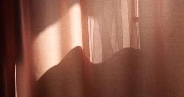 Curtains on the windows in the rays of the sun.