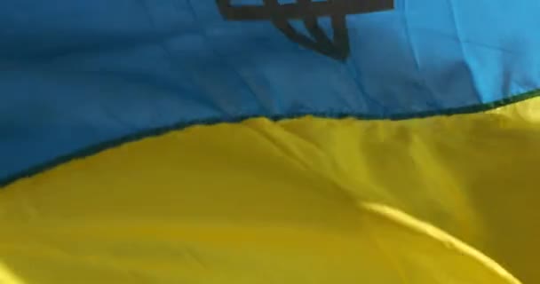 Ukrainas Flagga Fladdrar Vinden — Stockvideo