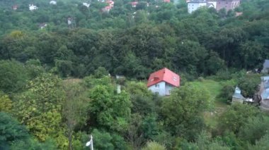 Yaz ormanının arka planına düşen yağmur damlaları. Yavaş çekim.