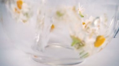 Brewing a herbal tea from chamomile in a transparent cup. Slow motion.
