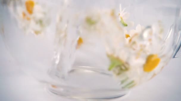 Brewing Herbal Tea Chamomile Transparent Cup Slow Motion — 图库视频影像