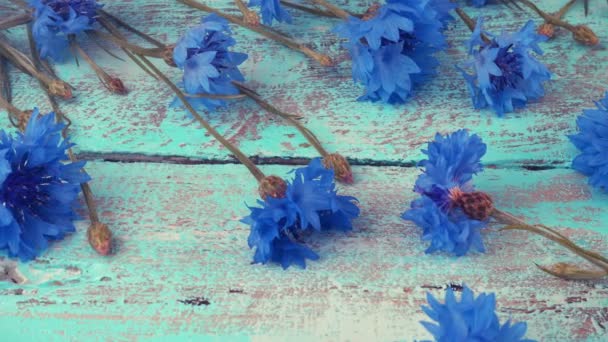 Fresh Flowers Knapweeds Vintage Light Blue Wooden Tabletop — Stockvideo