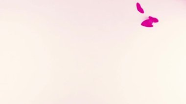 Confetti fly and make a heart shape. Slow motion.