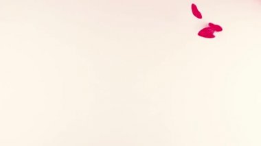 Confetti fly and make a heart shape. Slow motion.