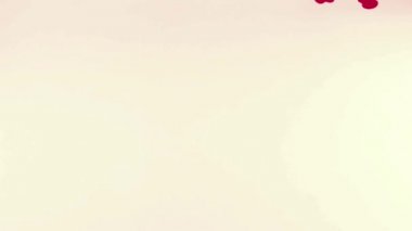 Confetti fly and make a heart shape. Slow motion.