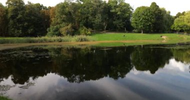 Güzel manzara. Parktaki gölet..