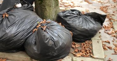 Şehir sokaklarında çöp poşetlerinin içinde düşen sonbahar yaprakları..