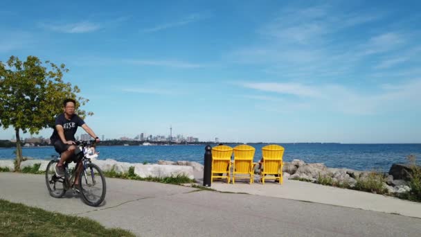 Vedere Malul Mării Centrul Orașului Toronto Canada — Videoclip de stoc