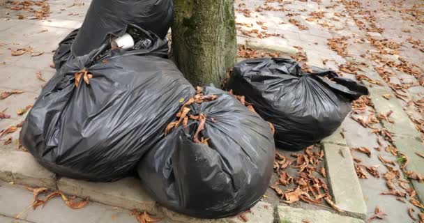 Şehir Sokaklarında Çöp Poşetlerinin Içinde Düşen Sonbahar Yaprakları — Stok video