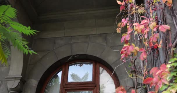 Architettura Una Vecchia Città Europea Finestre Balcone Sono Coperti Con — Video Stock