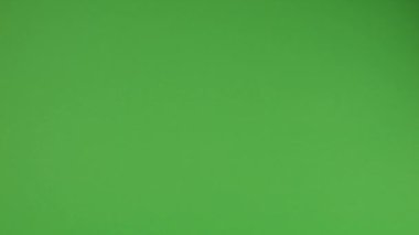 Düşen sonbahar kuru meşe yaprakları yeşil arka planda.