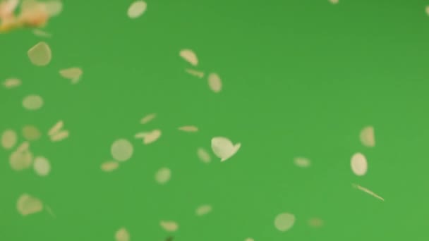 Vallende Confetti Een Groene Achtergrond — Stockvideo
