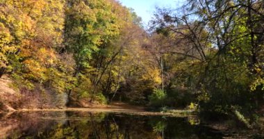 Sonbaharda Forest Gölü. Sudaki ağaçların yansıması..