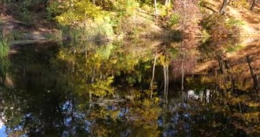 Sonbaharda Forest Gölü. Sudaki ağaçların yansıması..