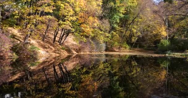 Lesní Jezero Podzim Odraz Stromů Vodě — Stock video