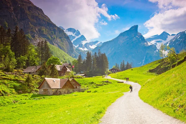 Wunderschnes Appenzellerland Alpen Schweiz — Stockfoto