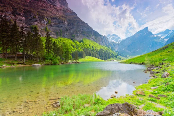 Schweiz Den Alpen的Der Wunderschne Seealpsee — 图库照片