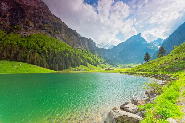 Schweiz Den Alpen的Der Wunderschne Seealpsee — 图库照片