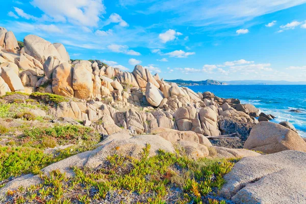 Güzel Sardunya Adası, İtalya